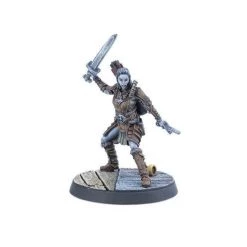 The Elder Scrolls: Call To Arms - Adventurer Followers Gaming