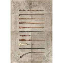 Harry Potter The Wand Chooses The Wizard Poster (1)