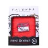 Friends Enamel Pin Badge PALADONE Film & TV 2 Friends Enamel Pin Badge PALADONE Film & TV