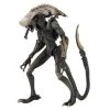 Alien Vs. Predator Chrysalis (Movie Deco) Action Figure Toys & Figures