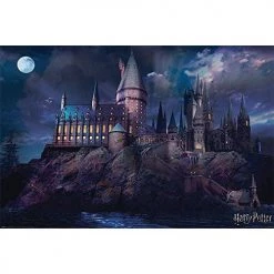 Harry Potter Film & TV HP (HOGWARTS) POSTER
