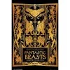 Harry Potter Fantastic Beasts 2 Book Cover Poster 2 Harry Potter Fantastic Beasts 2 Book Cover Poster