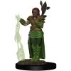 Dungeons & Dragons: Icons Of The Realms - Human Female Druid Miniature Tabletop