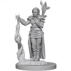 Dungeons & Dragons: Icons Of The Realms - Human Female Druid Miniature Tabletop