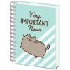 Home & Gifts PUSHEEN (VERY IMPORTANT NOTES)