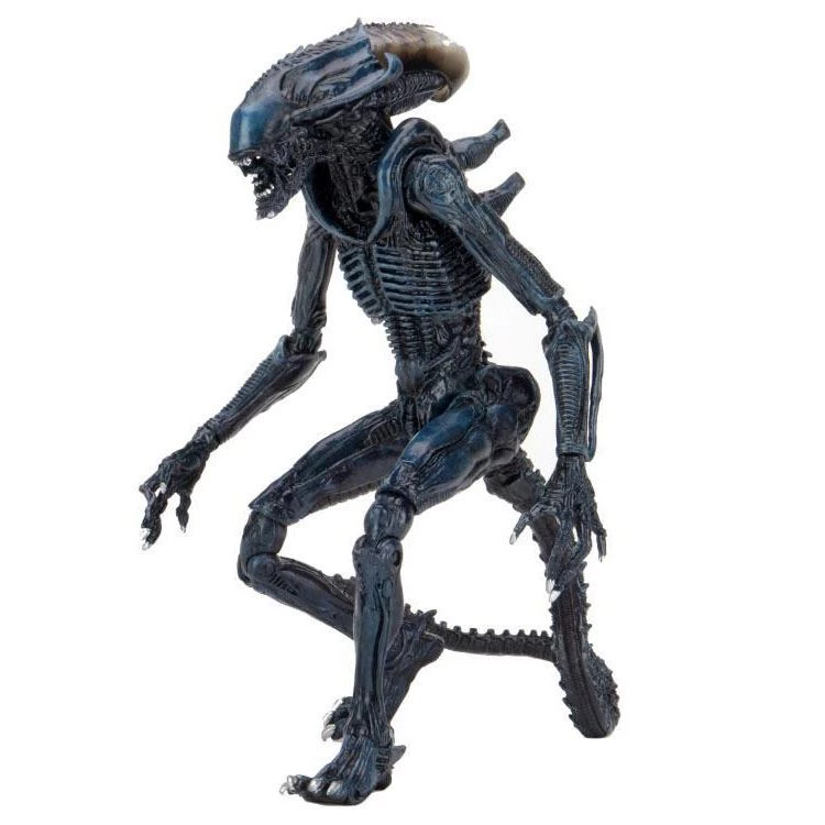 Toys & Figures Alien Vs. Predator Arachnoid Alien Action Figure 3 Toys & Figures Alien Vs. Predator Arachnoid Alien Action Figure