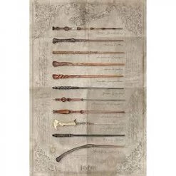 Harry Potter The Wand Chooses The Wizard Poster (1)