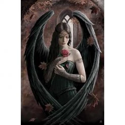 Anne Stokes - Angel Rose Maxi Poster 11 Home & Gifts