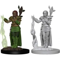 Dungeons & Dragons: Icons Of The Realms - Human Female Druid Miniature Tabletop