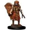 Dungeons & Dragons: Icons Of The Realms - Human Druid Male Miniature 2 Dungeons & Dragons: Icons Of The Realms - Human Druid Male Miniature