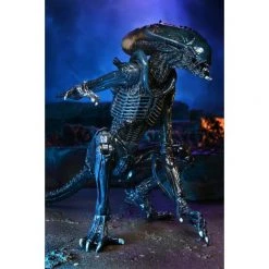 Toys & Figures Alien Vs. Predator Arachnoid Alien Action Figure 14 Toys & Figures Alien Vs. Predator Arachnoid Alien Action Figure